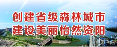 被日的好舒服爽歪歪创建省级森林城市 建设美丽怡然资阳